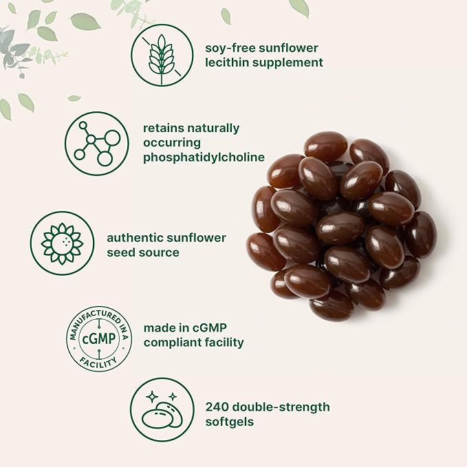 Micro Ingredients Sunflower Lecithin 2400mg 240 Softgels | Natural Sunflower Seed Oil Source with Phosphatidylcholine | Soy Free Lecithin Supplement | Non-GMO No Gluten