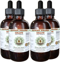 Hawaii Pharm Grape Alcohol-Free Liquid Extract Grape (Vitis Vinifera) Dried Seed Glycerite Natural Herbal Supplement 4x4 oz