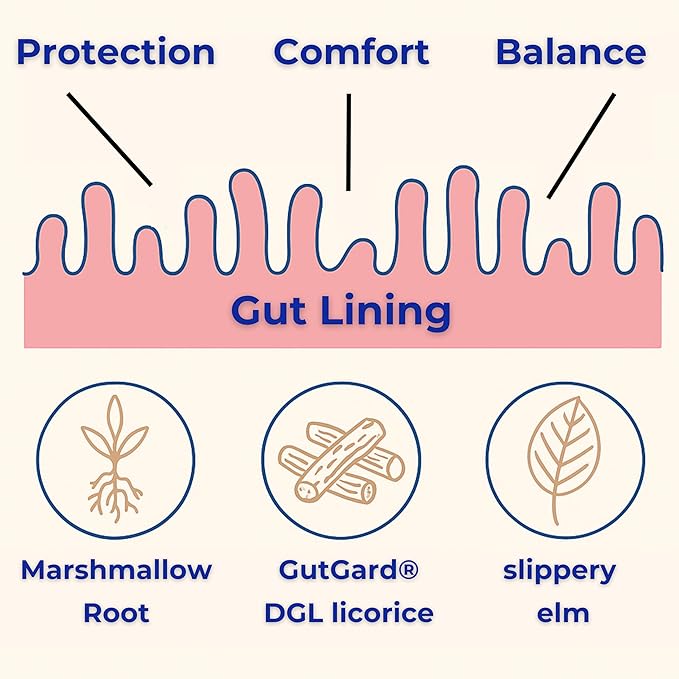 Gut Health &amp Digestive Support Supplement – Chewable Wafers with GutGard® DGL Slippery Elm &amp Marshmallow Root – Supports Gut Lining Mucosal Integrity Bloating &amp Heartburn Relief