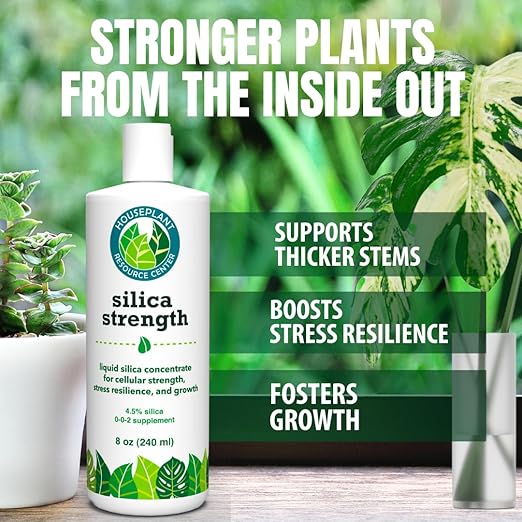 Silica Strength Plant Supplement – Strengthens Stems Supports Upright Leaves &amp Improves Stress Resilience | Ready-to-Use 4.5% Liquid Concentrate for Houseplants | 8 oz | Makes 96 Gallons