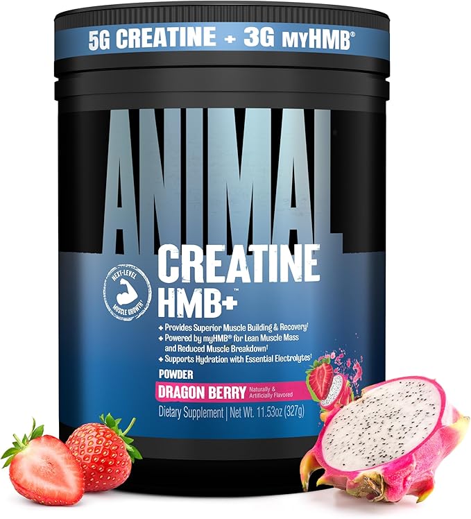 Animal Creatine HMB Powder – 3g myHMB + 5g Creatine with Electrolytes for Recovery &amp Daily Energy – Dragon Berry Flavor 30 Servings