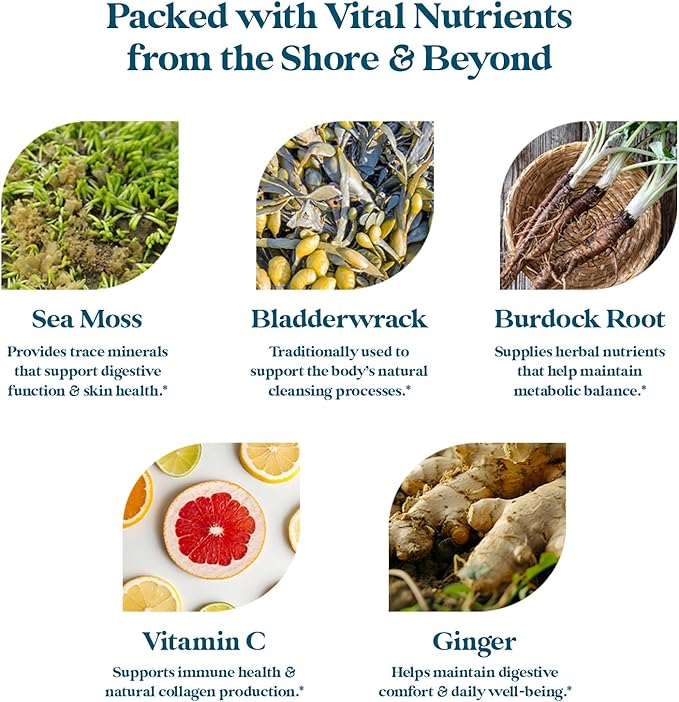 Pattern Wellness Sea Moss Complex – Sea Moss Burdock Root Bladderwrack Vitamin C &amp Ginger – Supports Immune &amp Digestive Health – Vegan Non-GMO – 30 Capsules