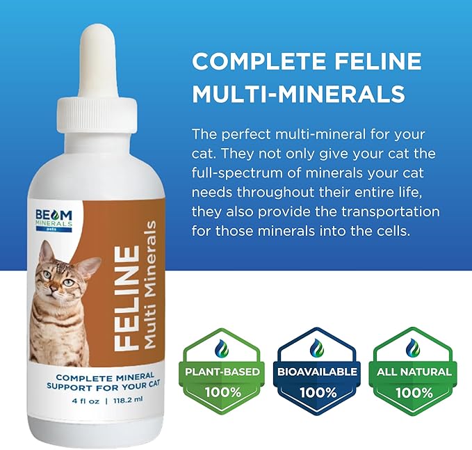 Beam Minerals Complete Feline Multi Minerals | Full-Spectrum Minerals for Cats | Contains Humic &amp Fulvic Acid | 4 fl Oz