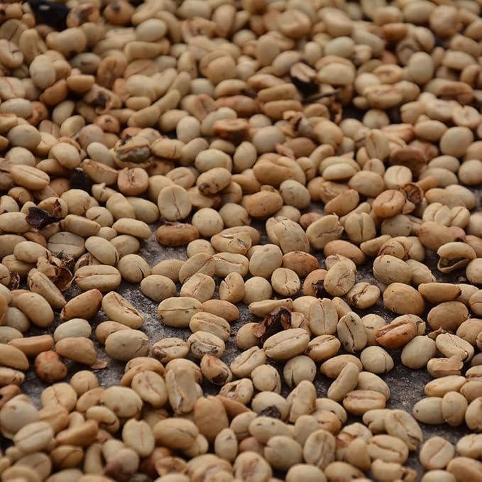 Medium Dark Coffee Roast Ground Coffee 100% Arabica Colombian Coffee Fresh Coffee (1 LB) Saxonville Mills Cafe