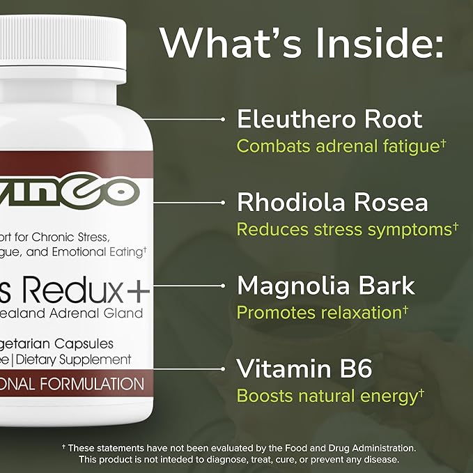 Vinco Inc - Stress Redux+ Advanced Adrenal &amp Cortisol Daily Supplement | (60 Capsules) | Reduce Stress &amp Fatigue | Supports Mood Balance Focus &amp Emotional Well-Being | Gluten Free