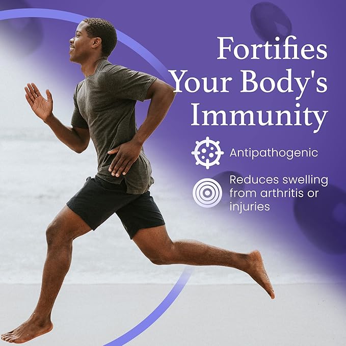 C60 EVO Organic Olive Oil - Pure C60 ESS60 Supports Joint Pain Flexibility Energy Immunity - Great Sleep Aid - 4 oz