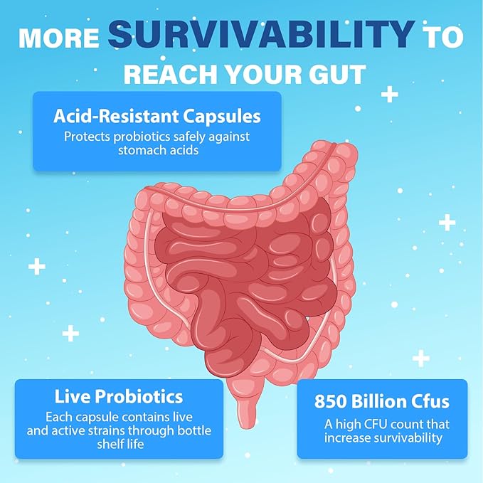 Probiotics for Men Advanced 50+ Mens Probiotic Comprehensive Gut &amp Energy Support with 850 Billion CFU 1800mg Prebiotics Fiber – Tailored Wellness mens probiotics for gut health over 50 90 Cap