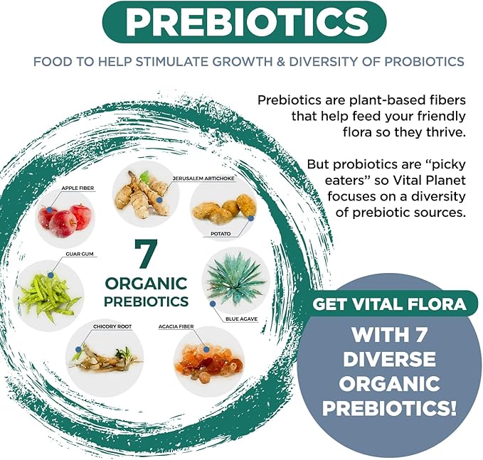 Vital Planet - Vital Flora Immune Support Probiotic 60 Billion CFU 60 Diverse Strains 7 Organic Mushroom Supplement Blend with Prebiotics Shelf Stable Digestive Health Probiotics 30 Capsules
