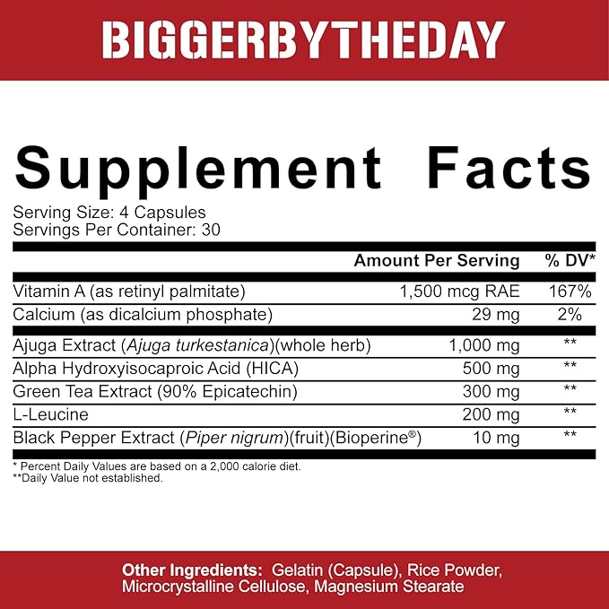 5% Nutrition 2-Stack | Liver &amp Organ Defender with NAC + BiggerByTheDay | Liver Kidney &amp Heart Support + Anabolic Muscle Builder Hardcore Lean Mass Gainer with Turkesterone HICA L-Leucine