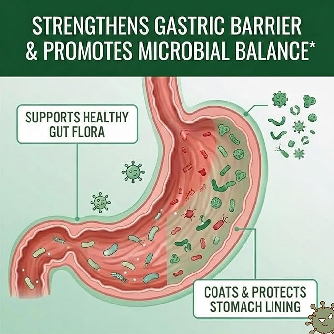 Approved Science Pyloriprin - Advanced Digestive Support for A Healthy Stomach - Zinc L-Carnosine Probiotic Broccoli Sprout Deglycyrrhized Licorice - 360 Capsules - six Month Supply - Vegan