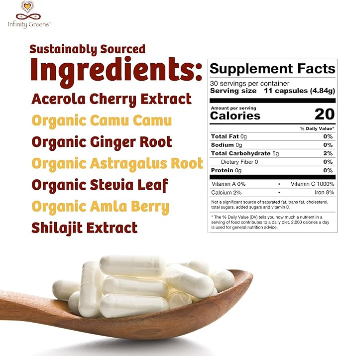 Infinity-C Organic Vitamin C Capsules Bioavailable VIT C from Acerola Camu Camu &amp Amla Whole Food Vitamin C 1000mg Immune Support Superfoods Shilajit Astragalus Root &amp Ginger (30 Serving