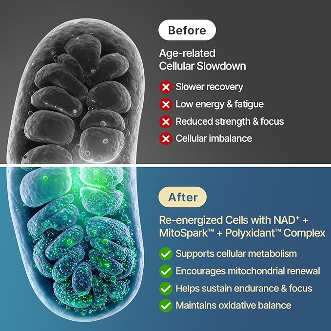 NAD+ Supplement 1600mg Extra Strength - Liposomal NMN Alternative with Resveratrol Urolithin A CoQ10 Quercetin &amp ALA - Mitochondrial Energy &amp Anti-Aging Cell Regeneration 60 Softgels