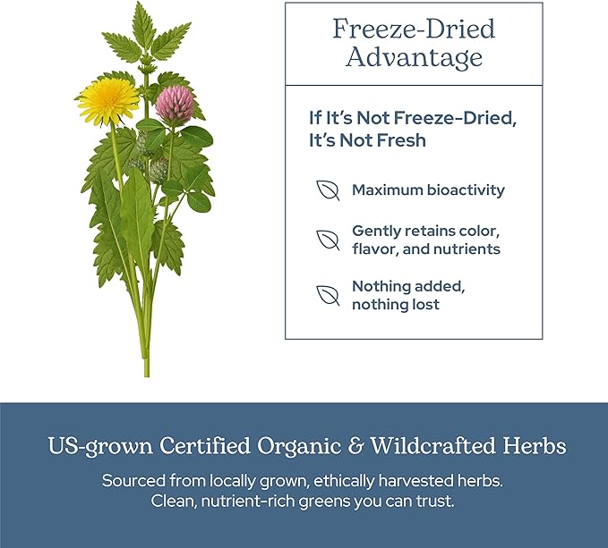 Eclectic Herb - Lymph &amp Blood Cleanse | Lymphatic &amp Circulatory Support | Freeze Dried Concentrated Herbal Supplement | Natural Wildcrafted Non-GMO Gluten Free Vegan (45 CT | 285 mg)