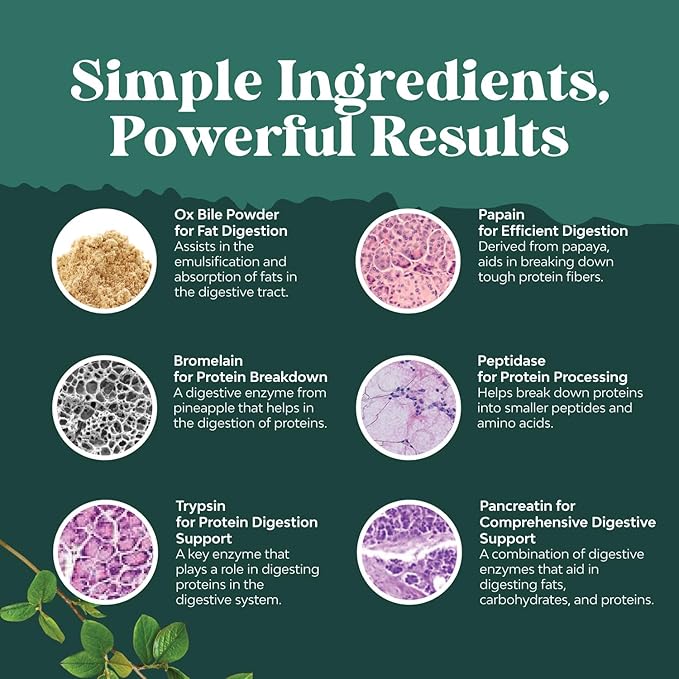 Bundle of Herbal Thyroid Support Complex - Potent Kelp Iodine with L Tyrosine Bladderwrack Selenium Ashwagandha and Digestive Enzymes with Ox Bile Trypsin Papain Bromelain Enzyme for Pancrease Cleanse