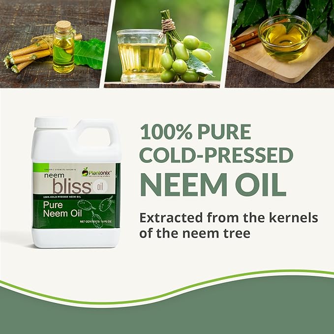 Neem Bliss (1 Gallon) - Pure Neem Oil Concentrate - 100% Cold Pressed Neem Oil - All-Natural Neem Oil Concentrate - Pure Neem Oil Extract - Unrefined Neem Oil for Hair - Neem Seed Oil Concentrate