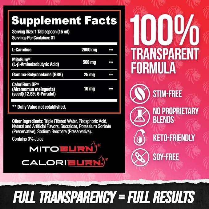 ALPHA LION Burn2O L-Carnitine Liquid 2000mg Premium Liquid Fat Burner &amp Pre-Workout Supplement for Men &amp Women - Natural Energy &amp Metabolism Booster for Weight Loss - ShredBerry