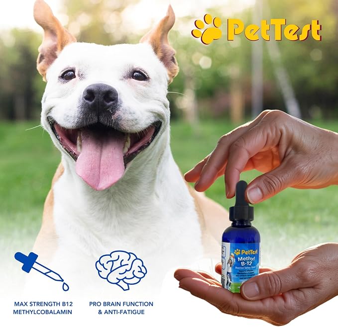 PetTest Methyl B12 Vitamin Liquid Drops 2fl oz (5000 MCG) Supplement with Methylcobalamin for Diabetic Pets Maximum Absorption to Increase Energy for Dogs and Cats