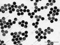 Alpha Nanotech Colloidal Polystyrene Beads (Non-Functionalized 200 nm 10 mg/ml 10 ml)