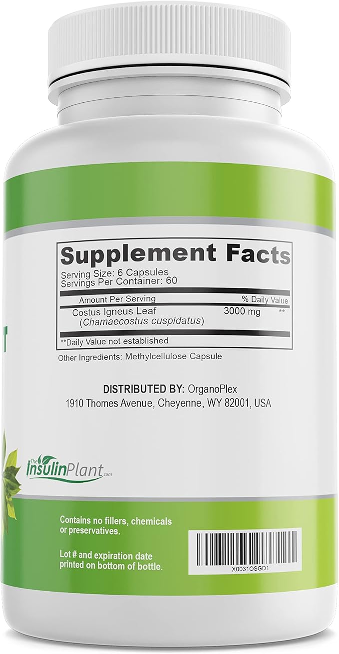Insulin Plant Capsules (Costus Igneus) 100% Natural Supplement 360 Veggie Caps (2 Month Supply) - Insulin Plant
