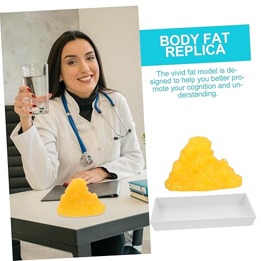 PartyKindom Teaching Replica with Base 1-Pound Human Fat Model for Exercise Fitness Education
