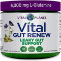 Vital Planet - Vital Gut Renew Powder Supplement for Leaky Gut Repair with L-Glutamine Marshmallow and Ginger Root DGL Licorice Root and Organic Aloe Vera L Glutamine 6000mg 6.88 oz