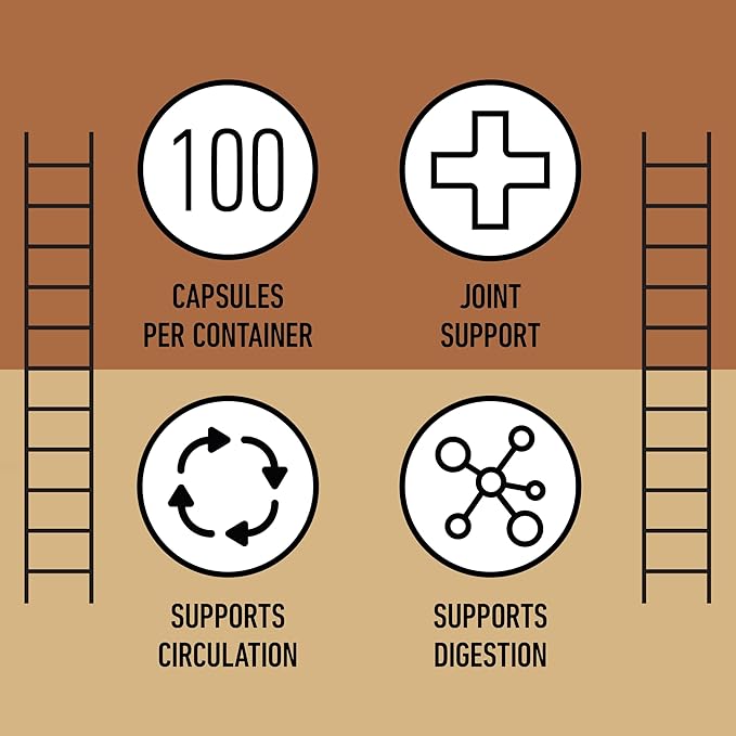 Complete Natural Products Nattokinase 100 Capsules &amp Turmeric 100 Capsules Bundle