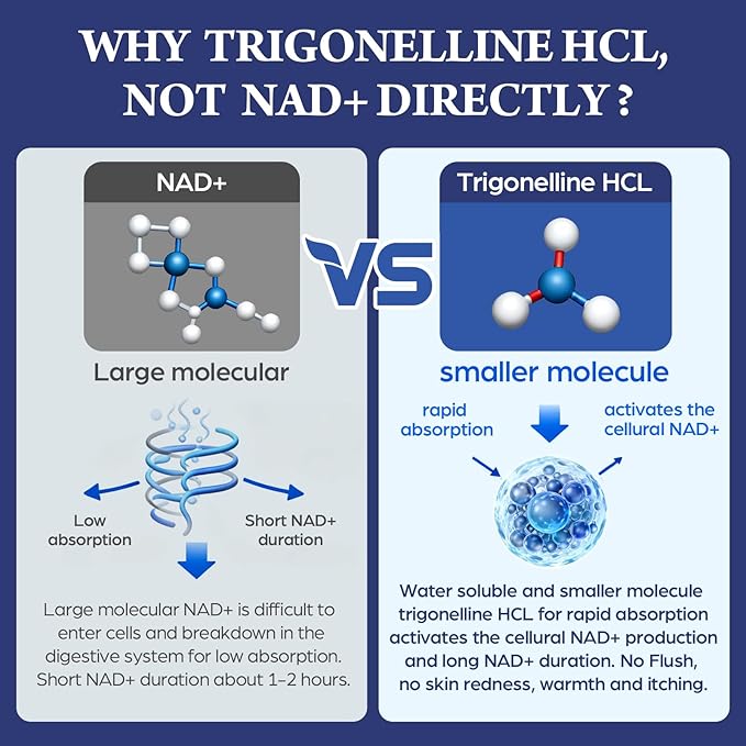 NMNH Strengthen Alternative with Trigonelline HCL 500mg &amp Resveratrol 100mg | NAD Supplement for Women &amp Men | Plant Extraction NAD+ Precursors for Energy Boost &amp Healthy Aging | 180 Capsu