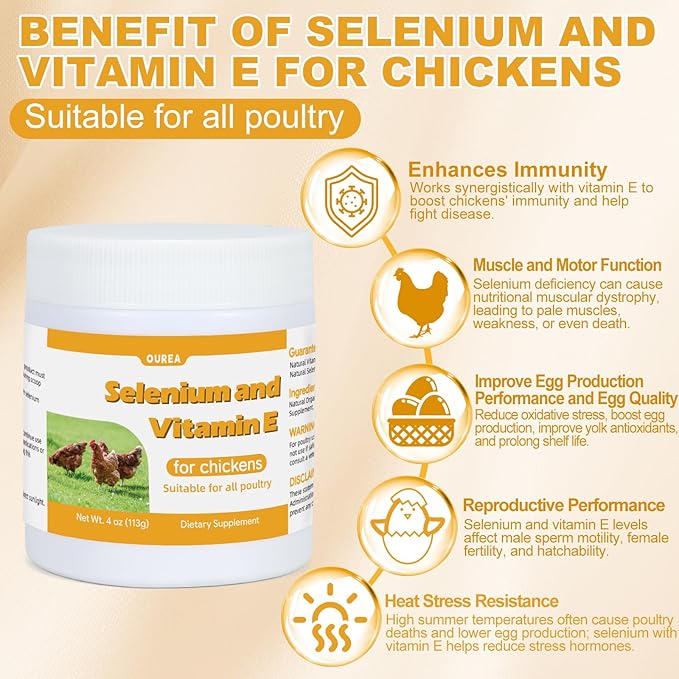 Selenium and Vitamin E Powder for Chickens Selenium for Chickens Immune System Muscle Support &amp Prevents Improve Wry Neck Selenium Vitamin E Supplements Suitable for All Poultry Chicken &a