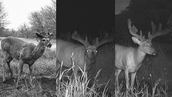 Terra Products Co. AX Deer Mineral - Antler Xcelerator for Deer