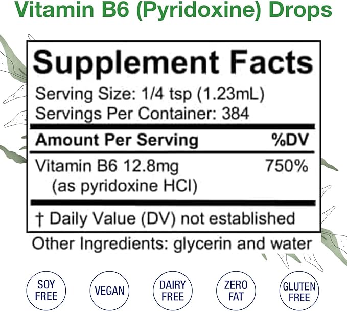 HoneyCombs Vitamin B6 Liquid Drops 700% DV Pyridoxine HCI B6 Supplement Alcohol Free Fast Absorbing B6 Vitamins for Energy Brain &amp Immune Support Made in the USA (16 Fl Oz)