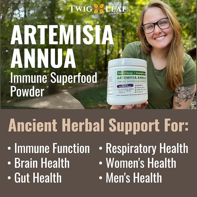 Artemisia Annua Sweet Wormwood Herbal Powder | Leaf Extract Brain Support | Artemisia Supplement | Sweet Wormwood Organic Extract | Non-GMO Vegan Gluten-Free | 30 Servings/8.5 Oz (240g)