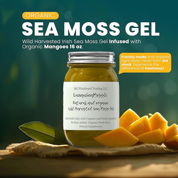 Banana Bread Sea Moss Gel Certified Wild Harvested Organic Fresh Irish Sea Moss Gel | Immune and Digestive Support | Vitamin Mineral Antioxidant Supplements | (16oz. Banana Bread)