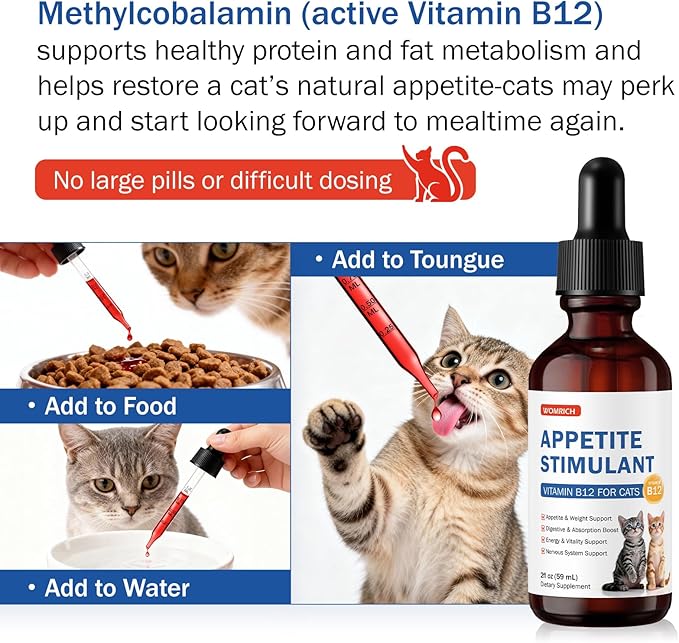 Cat Appetite Stimulant Methylcobalamin Vitamin B12 for Cats – for Energy Appetite &amp Red Blood Cell Support – Treatment of EPI in Cats