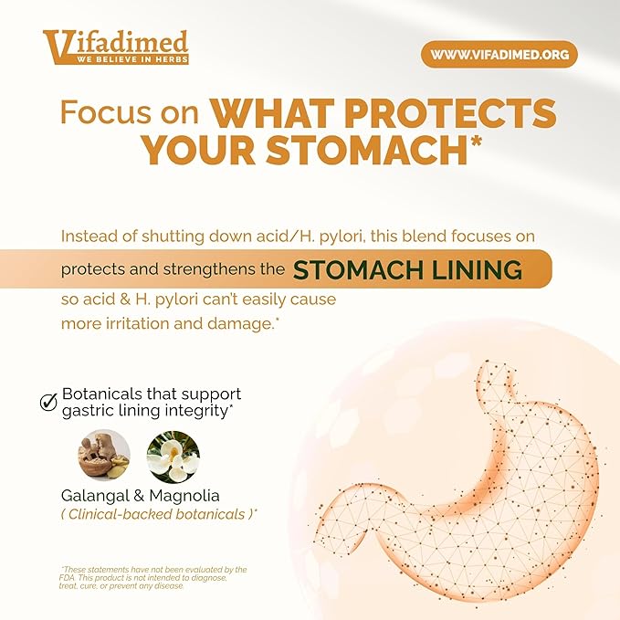 Stomach Plus Stomach Lining Support Gastritis Relief Stomachache Support Gastric Upset ReliefMotility Support with Galangal Dong Quai Cinnamon &amp Magnolia - 90 Capsules