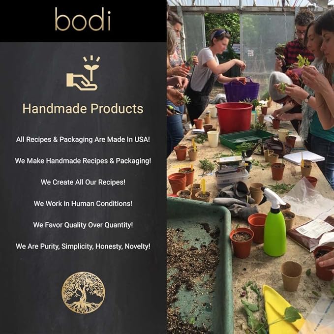 bodi : Bromelain Powder 250gdu Extract | 4oz to 5lb | 100% Pure Natural Hand Crafted (4 oz)