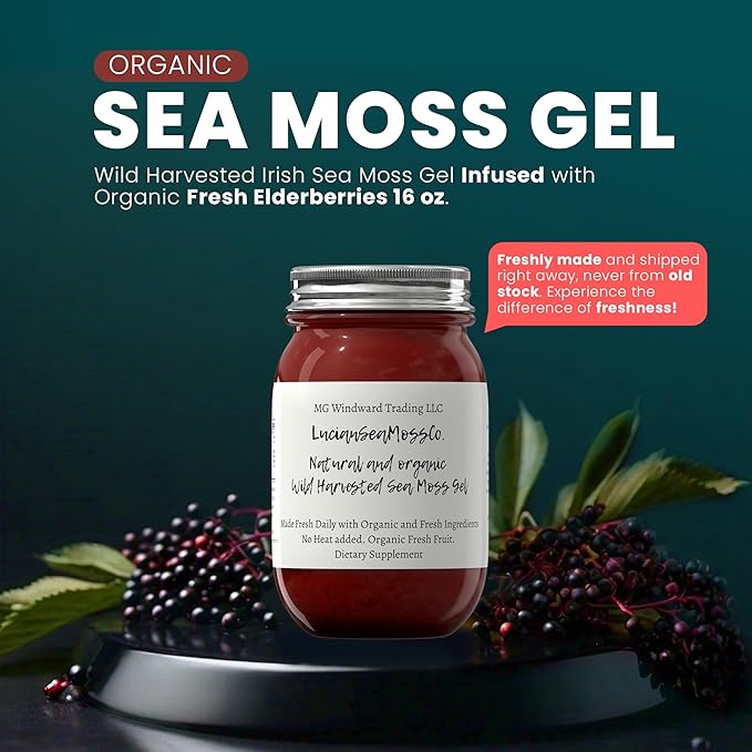 Blueberry Sea Moss Gel Organic Fresh Fruit Infused Wild Harvested Irish Sea Moss Gel | Immune and Digestive Support | Vitamin Mineral Antioxidant Supplements | (16 oz. Blueberry)