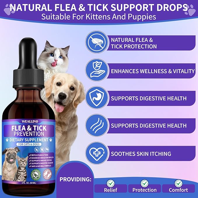 L-lysine Supplement for Cats to Boost Cat Immunity + Flea and Tick Support for Dogs and Cats Natural Flea Treatment Chicken &amp Bacon Flavor for Daily Wellness