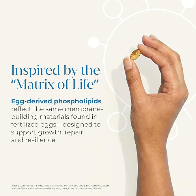 CellBB Immune Equilibrium – Animal-Derived Bioactive Phospholipids from Fertilized Eggs for Cellular Repair Anti-Aging and Immune Support 10x Liposomal Absorption 90 Capsules