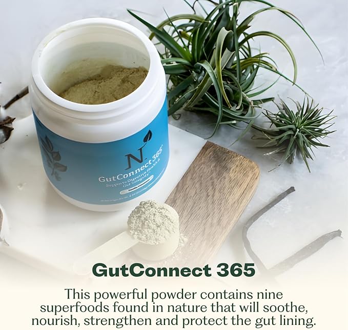 GutConnect 365 Gut Health Superfood Powder | Formulated With Slippery Elm Bark &amp L Glutamine | Vegan Certified | Allergen Free | Non-GMO | Soy Free | Made in the USA | 30 Servings – Vanilla Cinnam