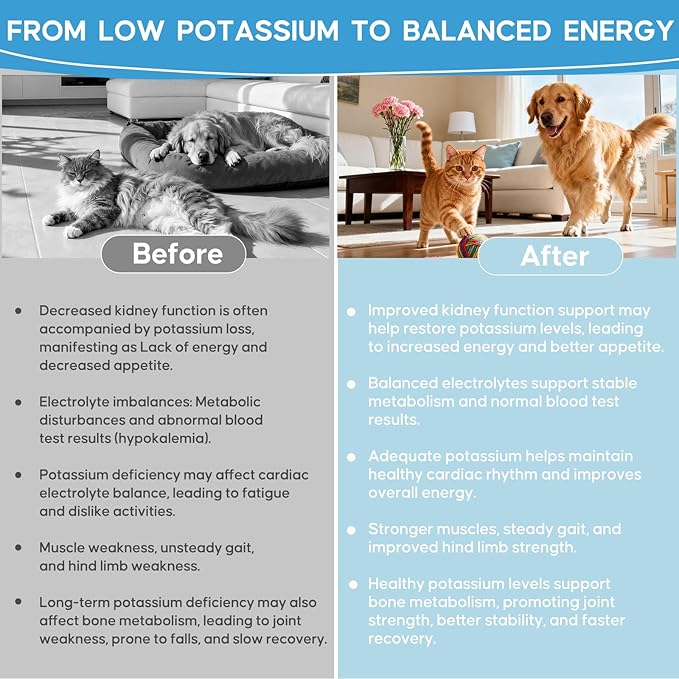 Renal K Potassium Gluconate for Dogs and Cats – 2.2 mEq per Scoop – Supports Kidney Function Restores Potassium Levels – Boosts Energy – Muscle Strength – Vet-Recommended