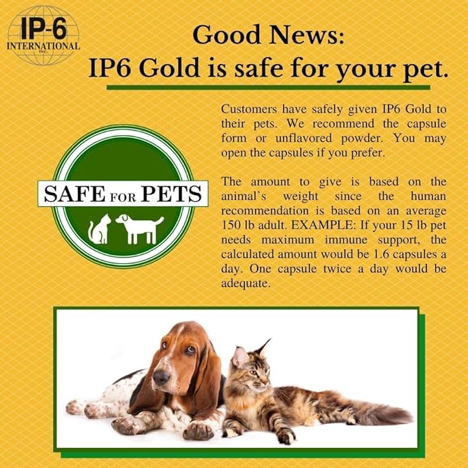 IP6 Gold IP-6 &amp Myo-Inositol Unflavored Powder 308 gm - Inositol Hexaphosphate Supplement - Vegan Non GMO Gluten Free