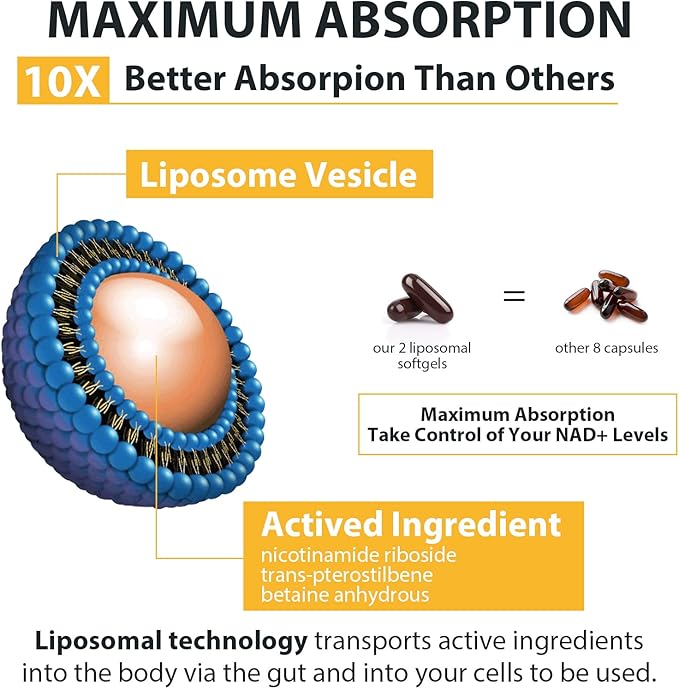 Orgabay Liposomal Nicotinamide Riboside 2000 MG with TMG and Pterostilbene Boosting NAD+ Support Healthy Aging 120 Count