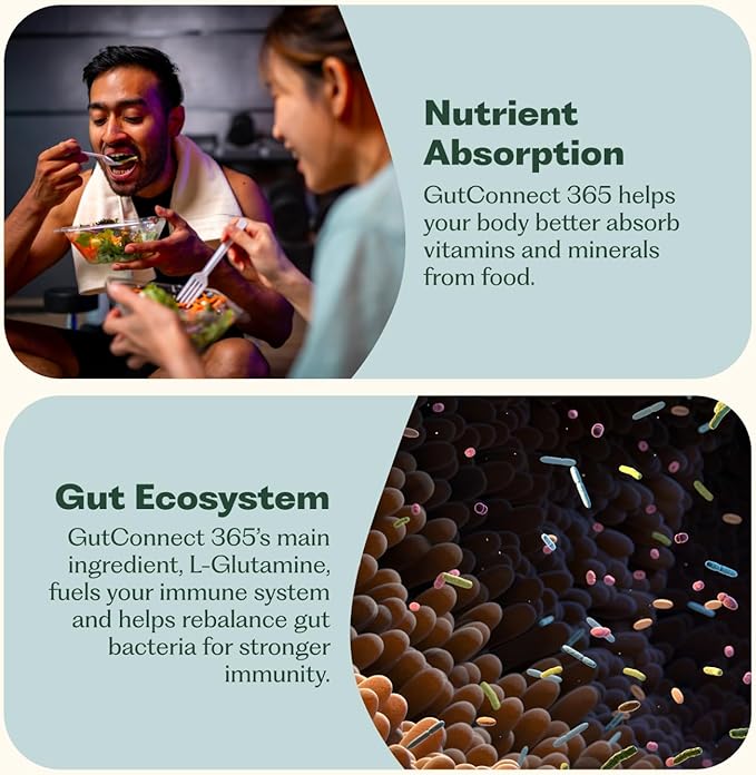 GutConnect 365 Gut Health Superfood Powder | Formulated With Slippery Elm Bark &amp L Glutamine | Vegan Certified | Allergen Free | Non-GMO | Soy Free | Made in the USA | 30 Servings – Vanilla Cinnam
