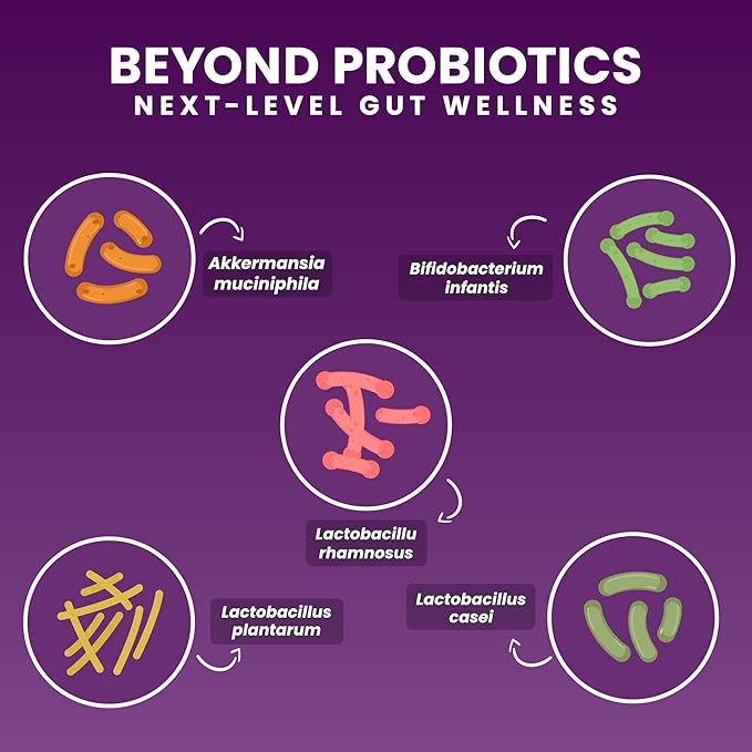 Chewable Akkermansia Probiotic and Prebiotic Supplement NOVO 2.0 with HMO Supports Gut and Oral Microbiome Supplements for Digestive Health and Skin Vitality Targeted Delivery 30 Tablets