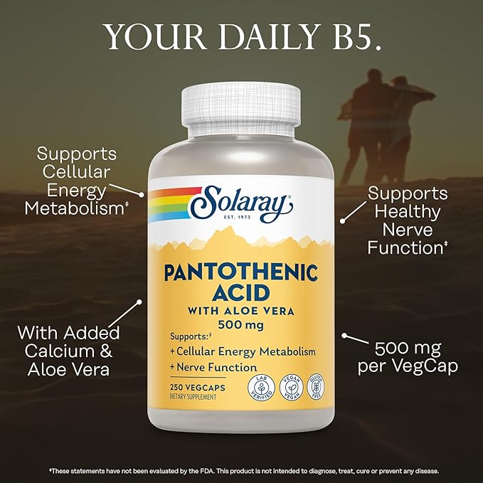 SOLARAY Pantothenic Acid 500mg - Pantothenic Acid Supplement (Vitamin B5) - Essential B Complex Vitamin - Nervous System and Cellular Energy Support - Vegan Gluten Free 60-Day Guaratee 250 Servings