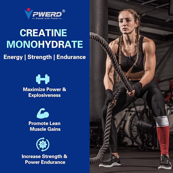 240 Count Creatine Monohydrate Gummies 5g for Women Men Energy Creatine Supplements Gummies for Gym Essentials Women