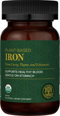 Global Healing Center Iron Supplement for Women and Men - Blood Builder Liquid Iron Vitamin with Curry Plant Extract - Natural Energy to Combat Fatigue Brain Health &amp Oxygen Level Support (2 Oz)