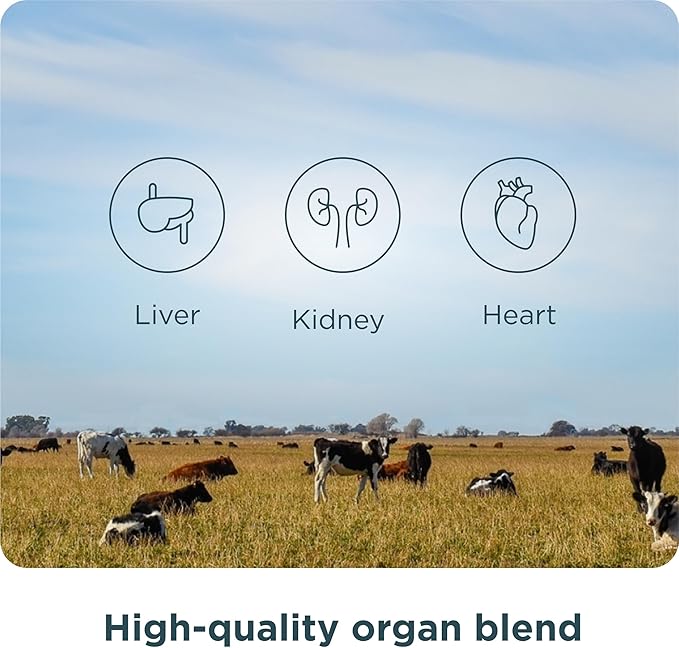 Ancient Nutrition Organ Supplements Grass-Fed and Wild Organ Complex Capsules Liver Heart Kidney Supports Organ Cognitive and Immune System Health 180 Ct