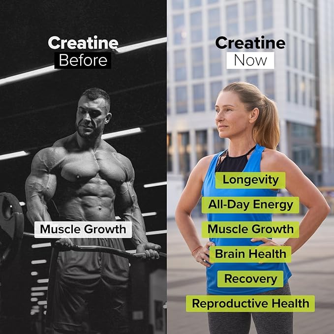 Complement Chocolate Protein &amp Creatine Bundle – Plant-Based Protein Powder and Creatine Monohydrate for Enhanced Muscle Performance