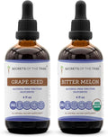Secrets of the Tribe Grape Seed and Bitter Melon Liquid Extract (2 pcs.) | Alcohol-Free Tinctures | Grape (Vitis vinifera) Dried Seed and Bitter Melon (Momordica charantia) Dried Fruit (2x4 fl oz)